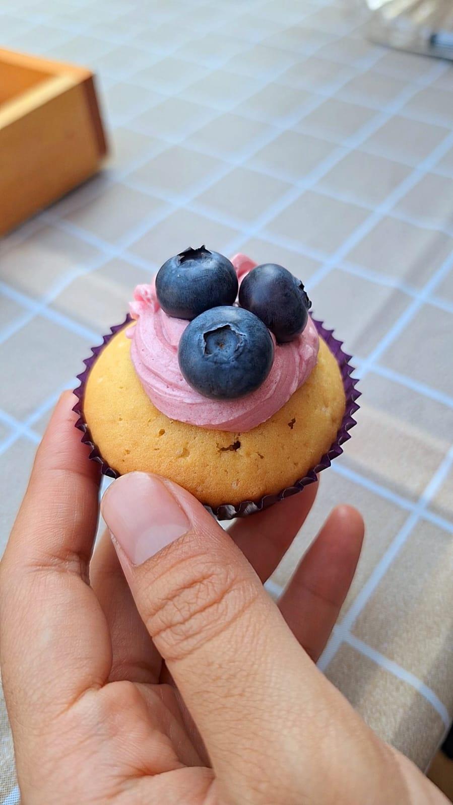 Cupcake Blueberry